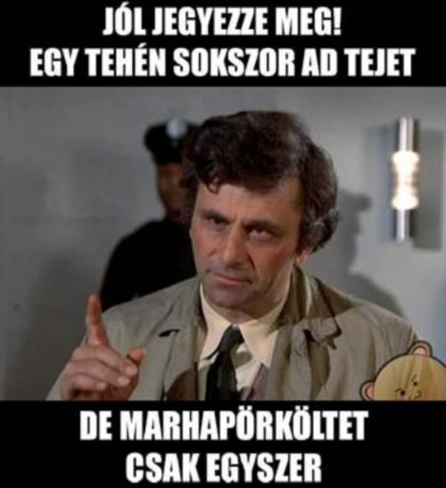 http://kepmester.silihost.hu/images/279/5665/00000113.jpg