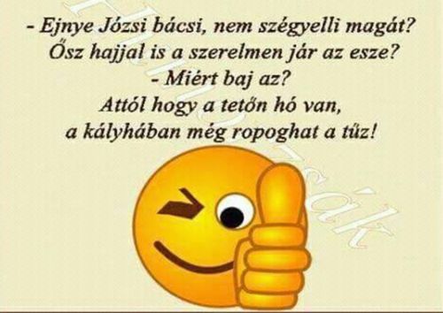http://kepmester.silihost.hu/images/279/5665/00000119.jpg