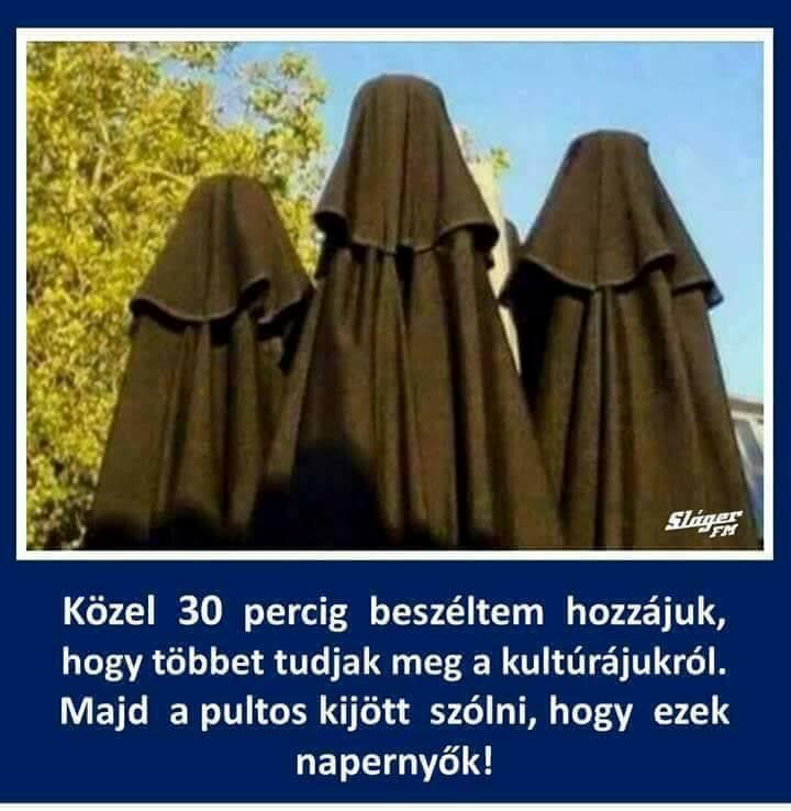 http://kepmester.silihost.hu/images/279/5665/00000133.jpg