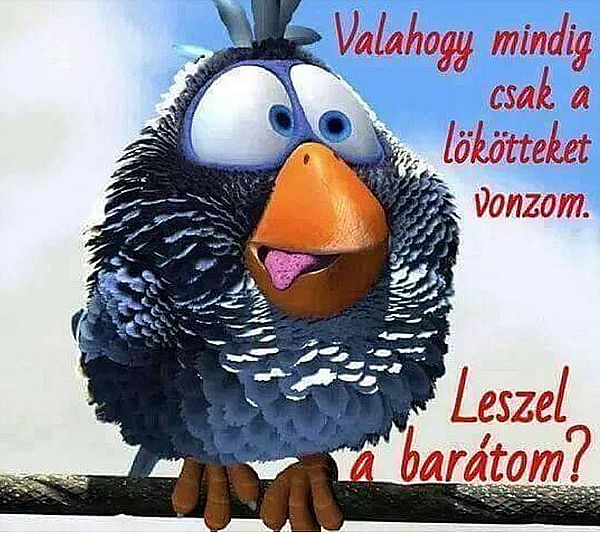 http://kepmester.silihost.hu/images/279/5665/00000146.jpg