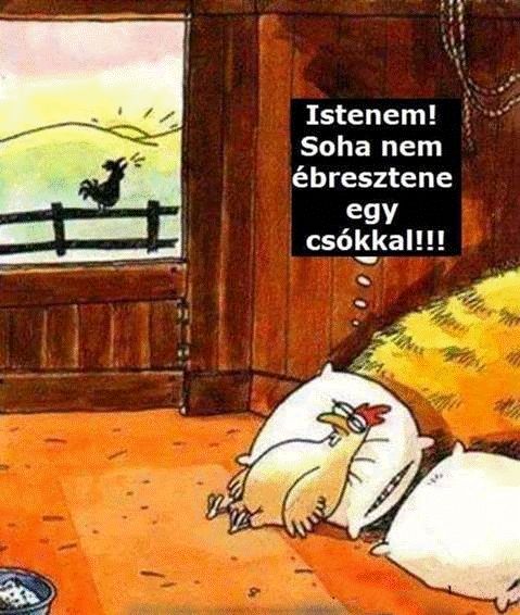 http://kepmester.silihost.hu/images/279/5665/00000304.jpg
