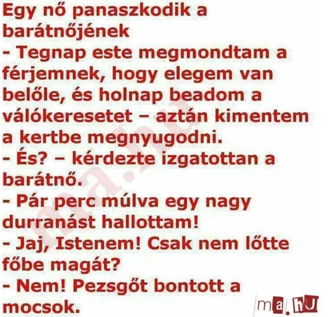 http://kepmester.silihost.hu/images/279/5665/00000332.jpg