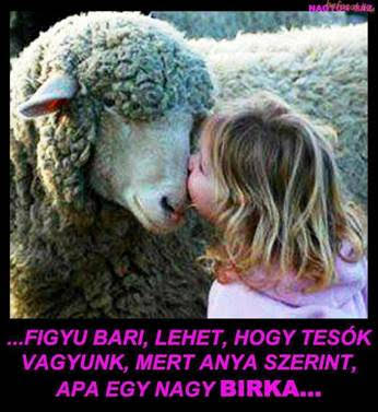 http://kepmester.silihost.hu/images/279/5665/00000361.jpg