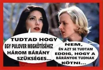 http://kepmester.silihost.hu/images/279/5665/00000365.jpg
