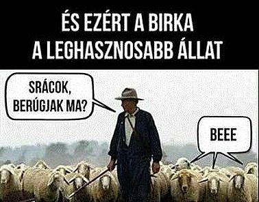 http://kepmester.silihost.hu/images/279/5665/00000368.jpg