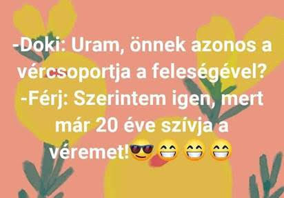 http://kepmester.silihost.hu/images/279/5665/00000383.jpg