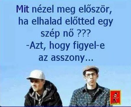 http://kepmester.silihost.hu/images/279/5665/00000385.jpg
