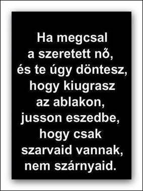 http://kepmester.silihost.hu/images/279/5665/00000408.jpg