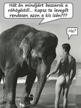 http://kepmester.silihost.hu/images/279/5665/00000409.jpg