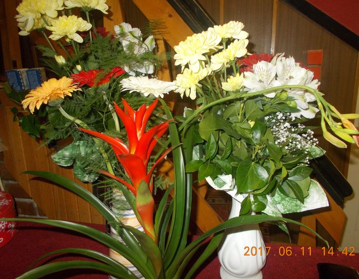 http://kepmester.silihost.hu/images/279/8222/00000195.jpg