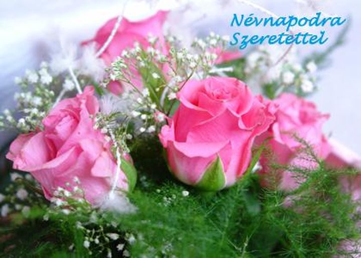 http://kepmester.silihost.hu/images/279/8222/00000209.jpg
