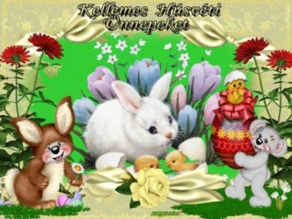http://kepmester.silihost.hu/images/279/8222/00000239.jpg