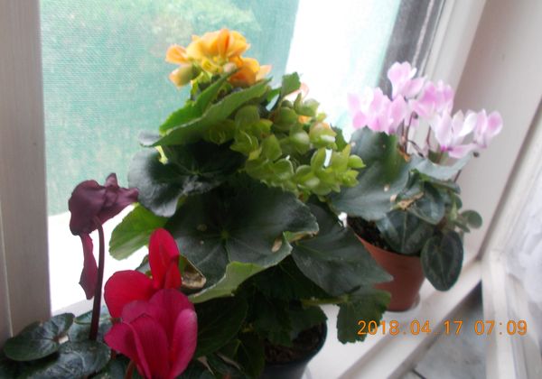 http://kepmester.silihost.hu/images/279/8222/00000245.jpg