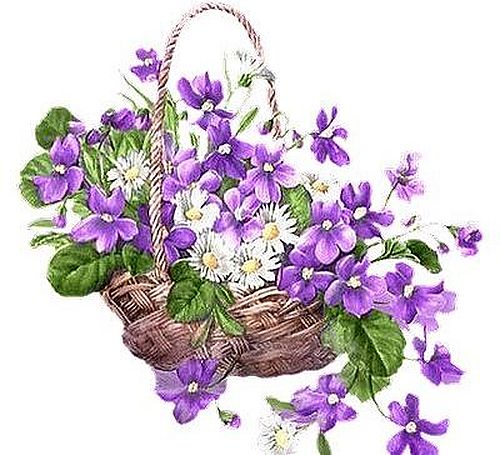 http://kepmester.silihost.hu/images/279/8222/00000257.jpg