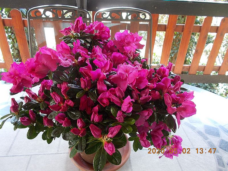 http://kepmester.silihost.hu/images/279/8222/00000321.jpg