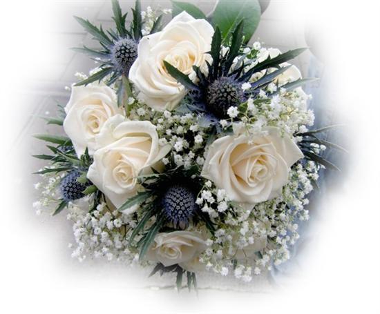 http://kepmester.silihost.hu/images/279/8222/00000326.jpg
