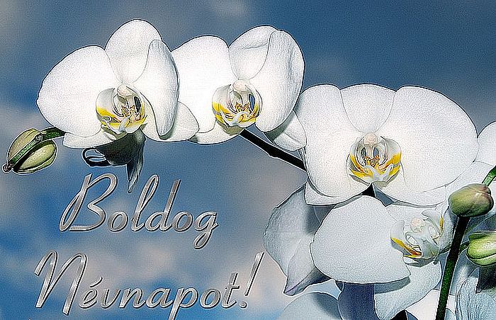 http://kepmester.silihost.hu/images/279/8222/00000342.jpg