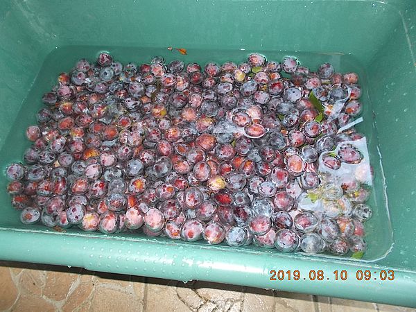 http://kepmester.silihost.hu/images/279/8626/00000086.jpg