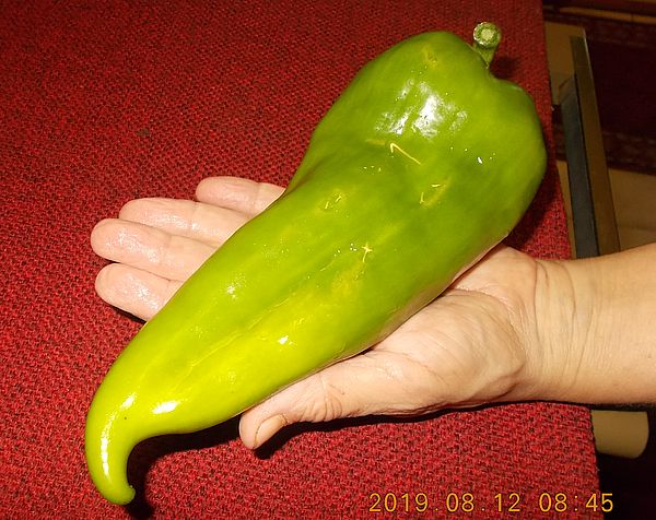 http://kepmester.silihost.hu/images/279/8626/00000089.jpg