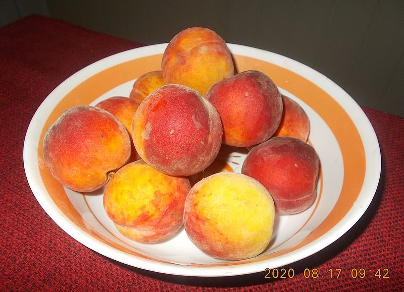 http://kepmester.silihost.hu/images/279/8626/00000105.jpg