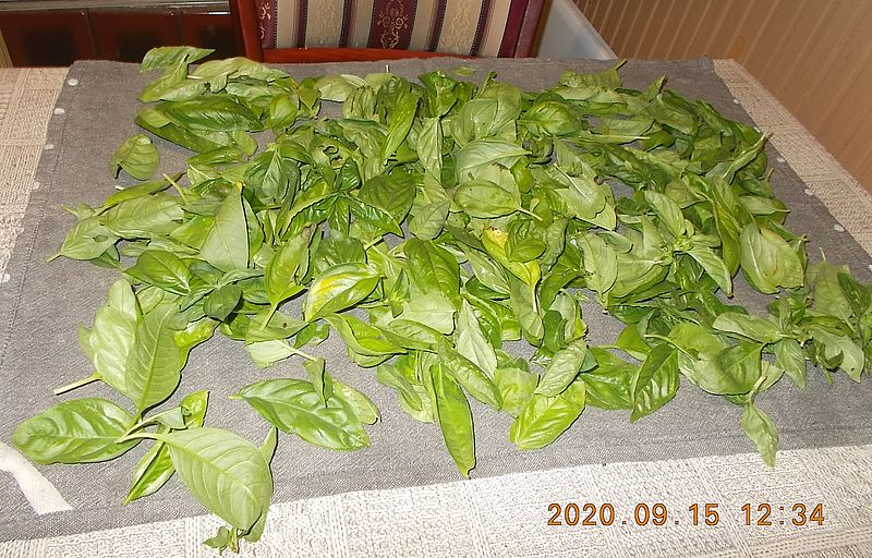http://kepmester.silihost.hu/images/279/8626/00000114.jpg