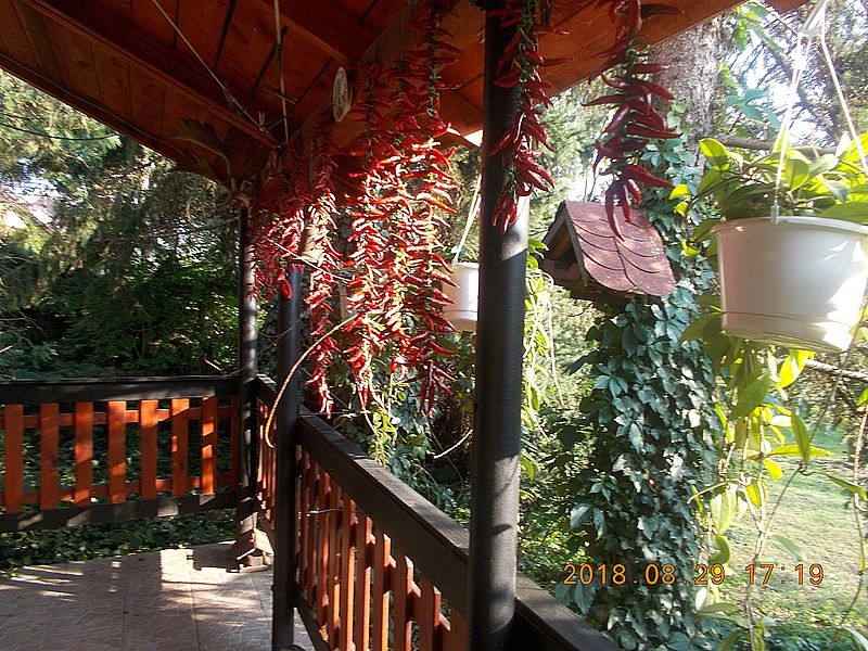 http://kepmester.silihost.hu/images/279/8659/00000025.jpg