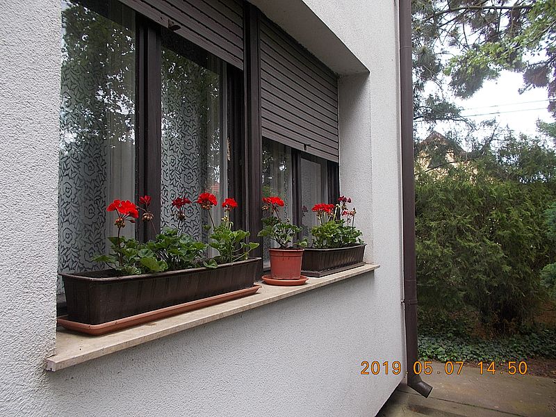 http://kepmester.silihost.hu/images/279/8659/00000026.jpg