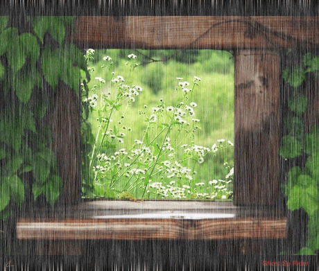 http://kepmester.silihost.hu/images/279/8707/00000092.gif