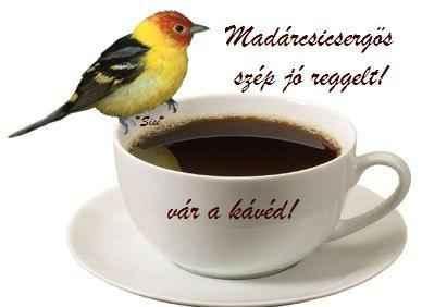 http://kepmester.silihost.hu/images/279/8707/00000271.jpg