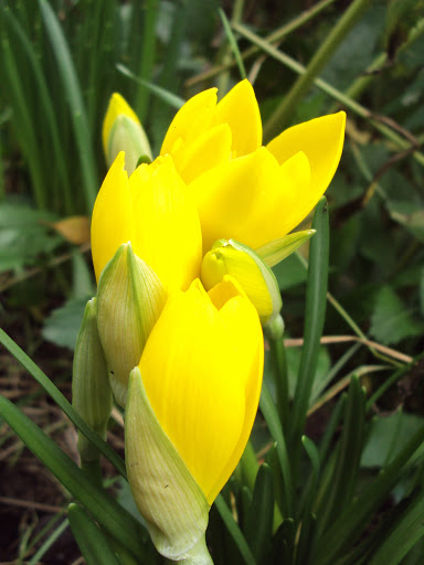 http://kepmester.silihost.hu/images/279/8897/00000658.jpg