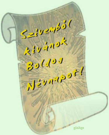 Kép