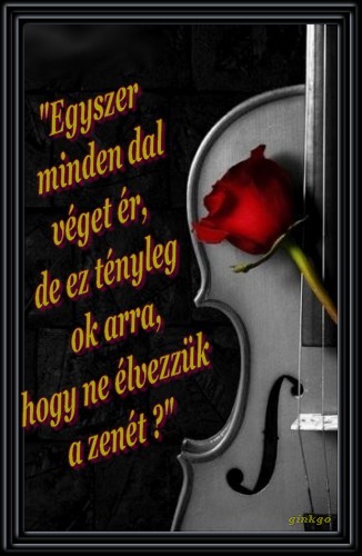 Kép