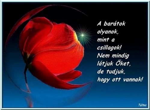 Szp napot